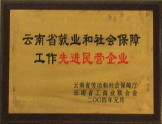 2004年被云南省工商聯(lián)合會(huì)授予“先進(jìn)民營(yíng)企業(yè)稱號(hào)”